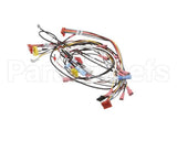 0700914 Antunes Wire Set, Hct Horz Contact Toa