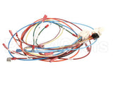 0700926 Antunes Wire Set Control Board