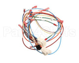 0700926 Antunes Wire Set Control Board