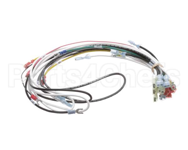 0700938 Antunes Wire Harness 48 Cinnibon