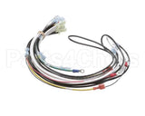 0700938 Antunes Wire Harness 48 Cinnibon