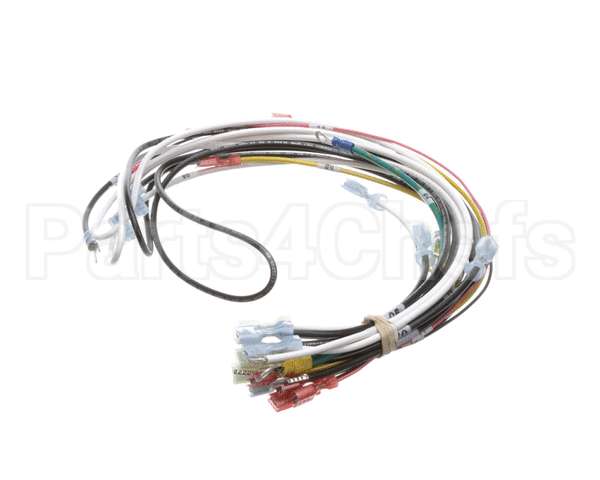 0700938 Antunes Wire Harness 48 Cinnibon