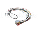 0700938 Antunes Wire Harness 48 Cinnibon