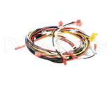0700975 Antunes Wire Set, Dual Eggstation