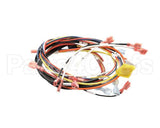 0700975 Antunes Wire Set, Dual Eggstation