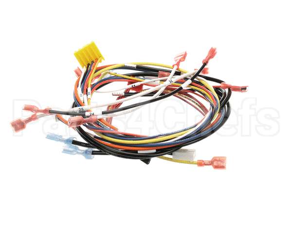0700975 Antunes Wire Set, Dual Eggstation