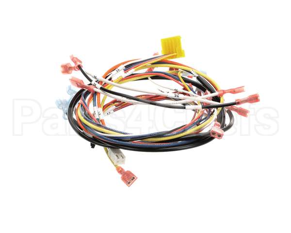 0700975 Antunes Wire Set, Dual Eggstation