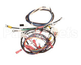 0701062 Antunes Wire Set, Rs-1000