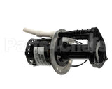 07097.0008 Bunn Pump Motor Kit, 240V 50Hz