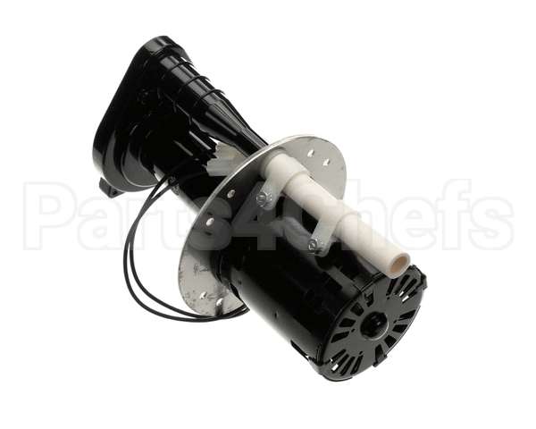 07097.0008 Bunn Pump Motor Kit, 240V 50Hz