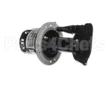 07097.7000 Bunn Pump & Motor Kit, 120V 60Hz