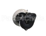 07097.7000 Bunn Pump & Motor Kit, 120V 60Hz