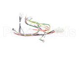08.CC0004115 Grindmaster Cecilware Lola Wiring Harness