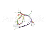 08.CC0004115 Grindmaster Cecilware Lola Wiring Harness