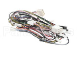 08.GC0012.001 Grindmaster Cecilware Sp2 Etl Harness