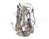 08.GC0012.001 Grindmaster Cecilware Sp2 Etl Harness