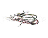 08.GT0001110 Grindmaster Cecilware Gt1 11560 Etl Harness