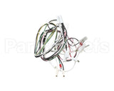 08.GT0001110 Grindmaster Cecilware Gt1 11560 Etl Harness
