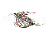 08.HU0013115 Grindmaster Cecilware Karma 11560 Harness
