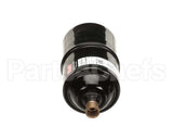 087438 Electrolux Professional Strainer