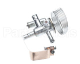 089993 Electrolux Professional Valvole