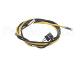 092181 Electrolux Professional Probe; 6X20; Yellow/Black;800/2000Mm