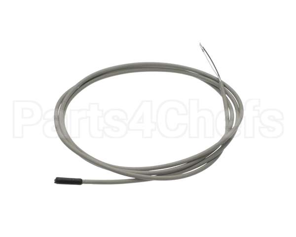 092965 Electrolux Professional Probe