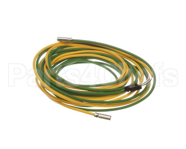 093442 Electrolux Professional Probe