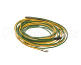 093442 Electrolux Professional Probe