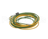 093442 Electrolux Professional Probe