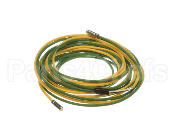 093442 Electrolux Professional Probe