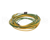 093442 Electrolux Professional Probe