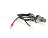 09891 Lakeside Rep Self-Leveling Elect Switch