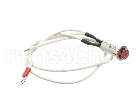 09917 Dinex Pilot Light