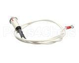 09917 Dinex Pilot Light