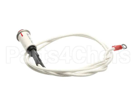09917 Dinex Pilot Light