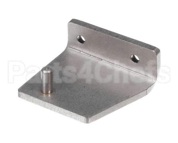 099200 Electrolux Professional Hinge, Inf.