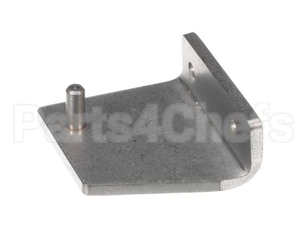 099200 Electrolux Professional Hinge, Inf.