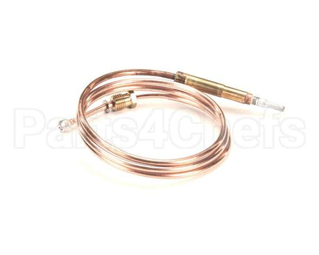 0C0202 Electrolux Professional Thermocouple, M8X1 L750Mm