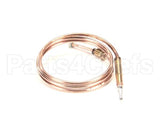 0C0202 Electrolux Professional Thermocouple, M8X1 L750Mm
