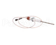 0C1049 Electrolux Professional Flame Dectection Plug