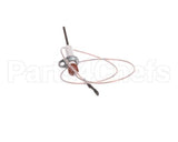 0C1049 Electrolux Professional Flame Dectection Plug