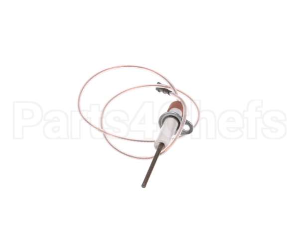 0C1049 Electrolux Professional Flame Dectection Plug