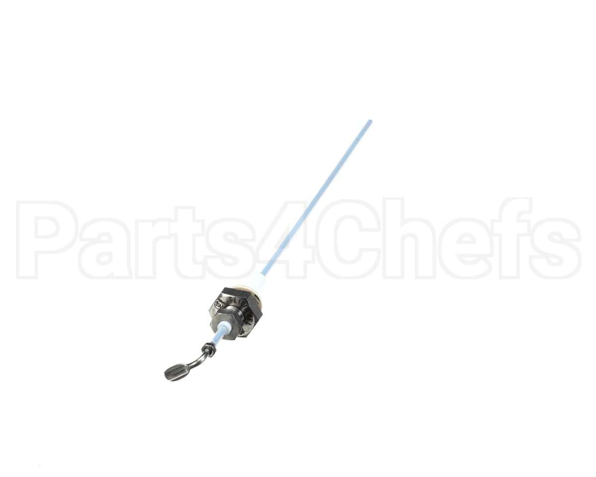 0C1105 Electrolux Professional Level Probe