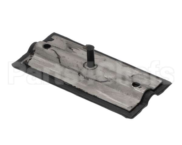 0C1169 Electrolux Professional Throttle