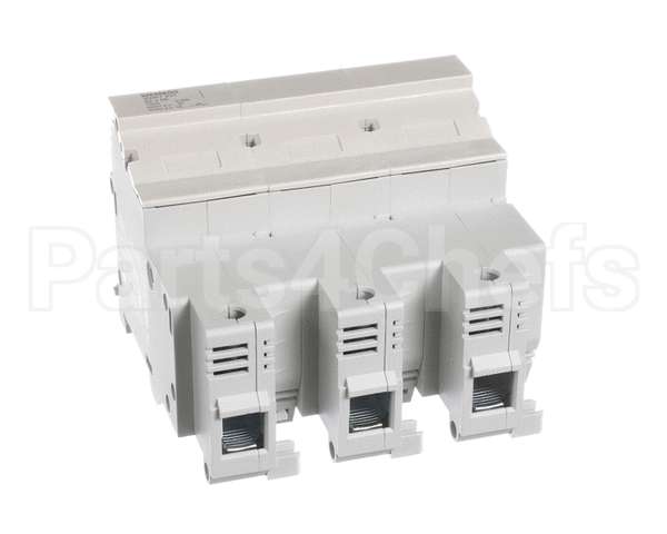 0C1487 Electrolux Professional Fuse Carrier