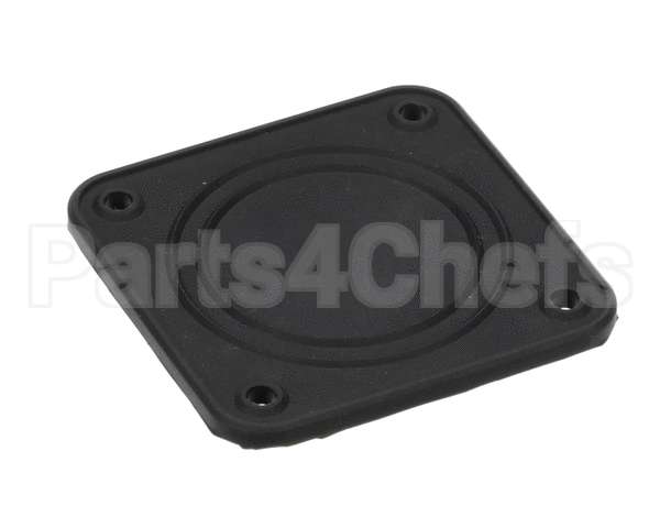 0C4963 Electrolux Professional Gasket, For Boiler