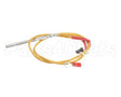 0C6538 Electrolux Professional Temperature Probe, L500Mm