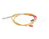 0C6538 Electrolux Professional Temperature Probe, L500Mm