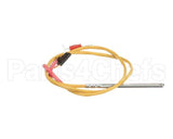 0C6538 Electrolux Professional Temperature Probe, L500Mm